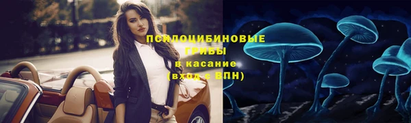 ALPHA PVP Алексеевка