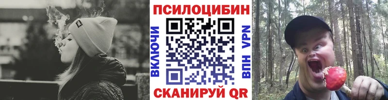 как найти   Закаменск  Псилоцибиновые грибы мухоморы 
